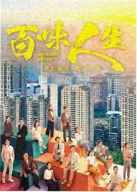 雾港拾光剧集封面